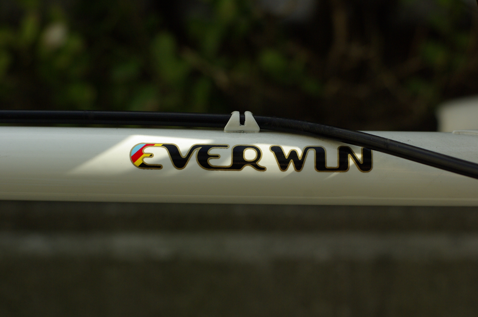 EVERWIN ロードバイク 新オーナーさま募集です。 – Bici Termini